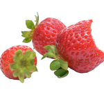 fruit, strawberry, red